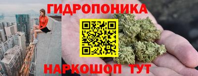 бошки Вязьма