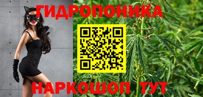 бошки Вязьма