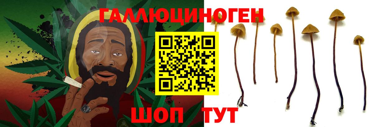 Галлюциногенные грибы Cubensis Семилуки